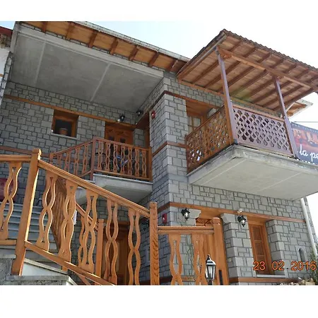 La Petri Studios With Fireplace & View Metsovo Buitenkant foto