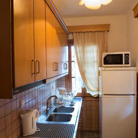 La Petri Studios With Fireplace & View Metsovo Kamer foto